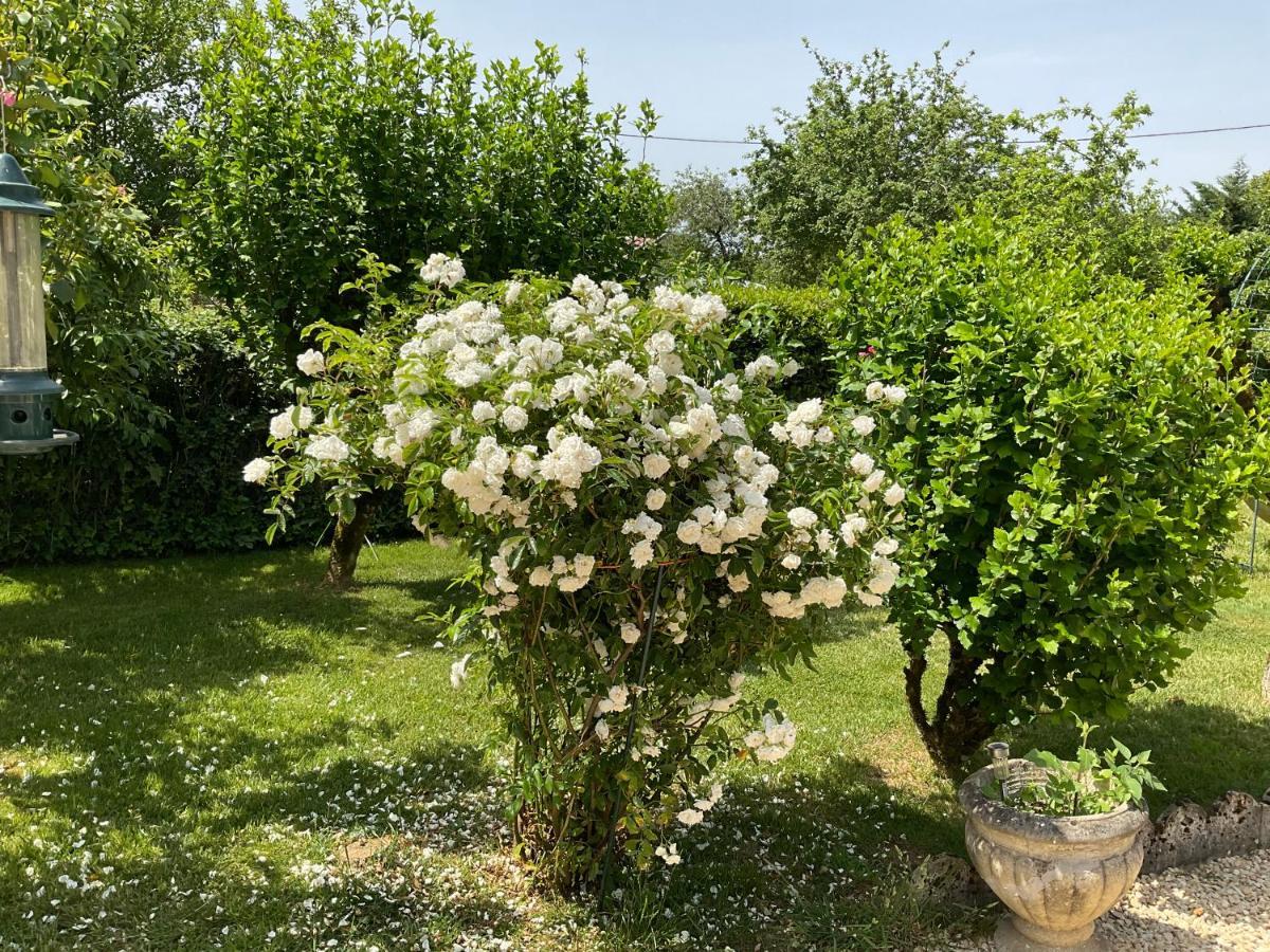 Le Jardin De Rose 24 Feuillebert Romagne 86700 B&B 외부 사진
